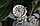 Наручные часы SHE-3047SG-7AUER, фото 4
