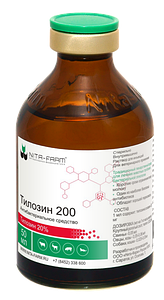 Рогоноз құл презервативтен алынған сперманы ішеді