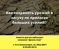 Как сохранить урожай в засуху не прилагая больших усилий?