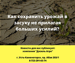 Как сохранить урожай в засуху не прилагая больших усилий?