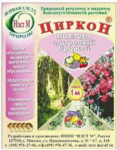 Циркон