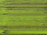 Витражная пленка цвета Emerald (Светло-зеленый)