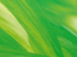 Витражная пленка цвета Springtime (Светло-зеленый) - фото 1 - id-p3346551