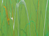 Витражная пленка с рисунком мрамора цвета Jalapeno (Зеленый перец)