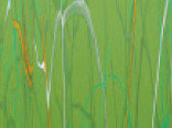 Витражная пленка с рисунком мрамора цвета Jalapeno (Зеленый перец)