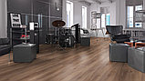 Ламинат Kronopol Flooring LINEA Plus 3501  32класс/8мм, фаска (узкая доска), фото 3