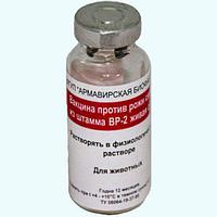 Вакцина ВР-2 против рожи свиней 100-дозная