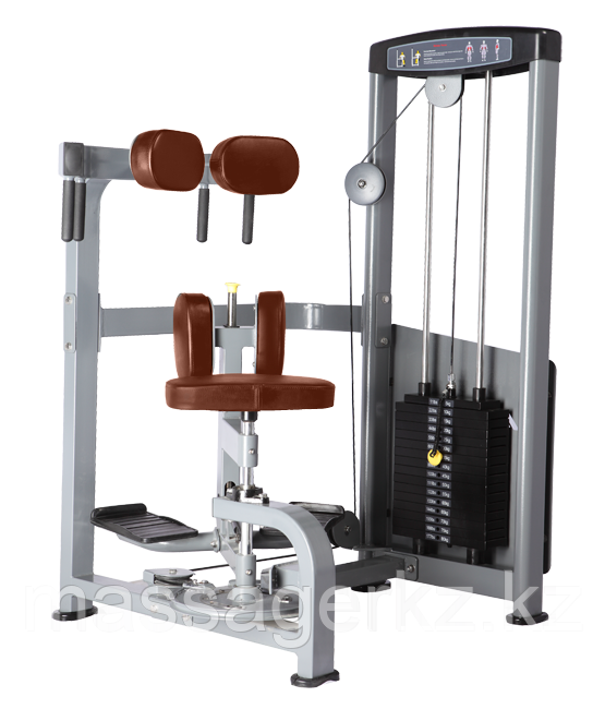 BRONZE GYM D-011 Торс-машина