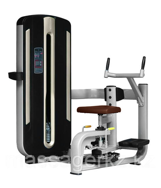 BRONZE GYM MNM-011 Торс-машина