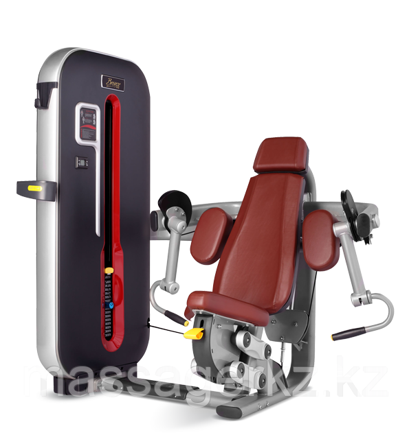 BRONZE GYM MT-006 Бицепс-машина