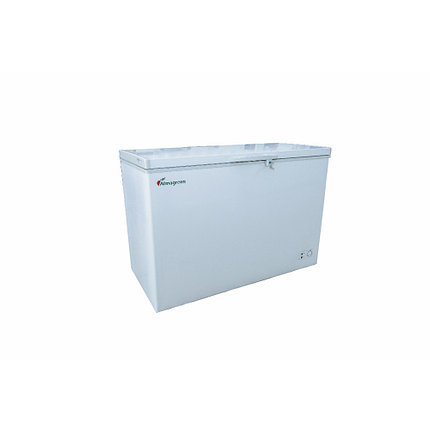 Морозильные ларь BD/BC - 350 WHITE, фото 2