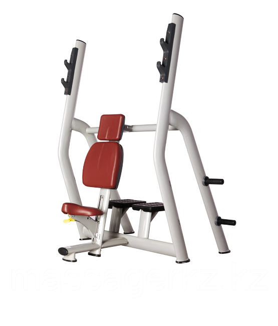 BRONZE GYM H-025B Скамья для жима вертикальная