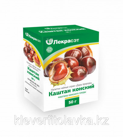 Каштан конский плоды