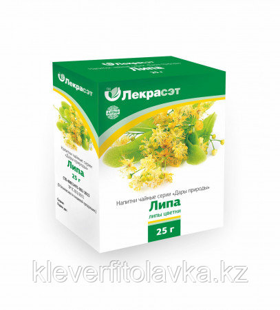 Липа