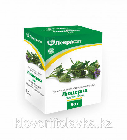Люцерна