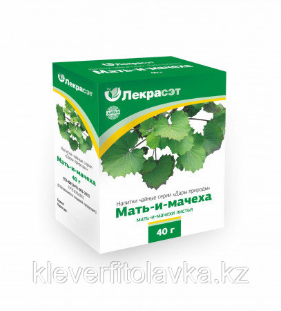 Мать-и-мачеха