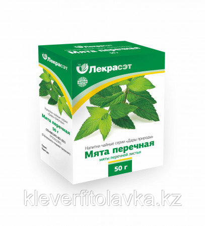 Мята перечная