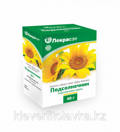 Подсолнечник