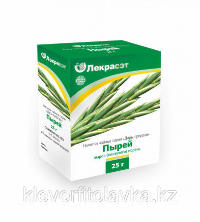 Пырей