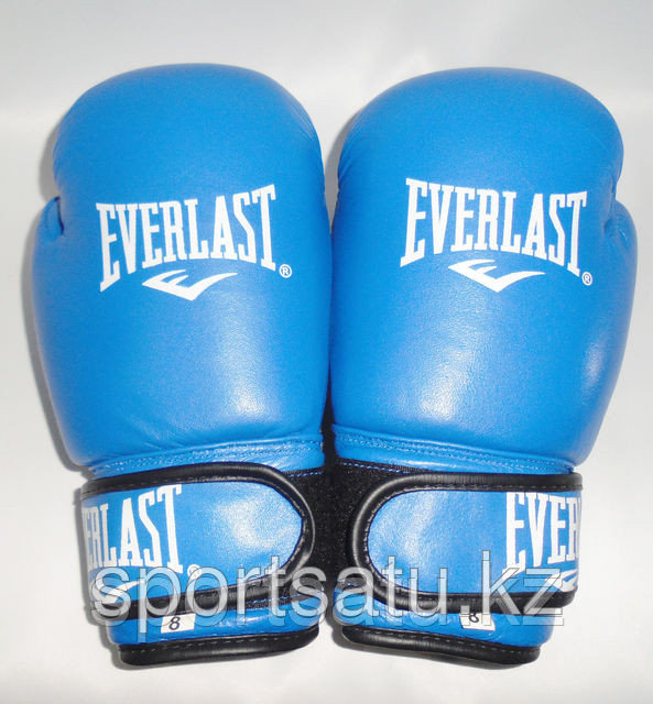 Перчатки боксерские EVERLAST - фото 5 - id-p3255486