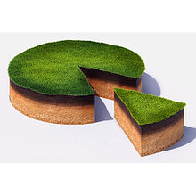 Выдел земельного участка