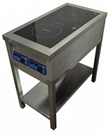 Плита индукционная ЦМИ ПИ-2 (460х850х870 мм)