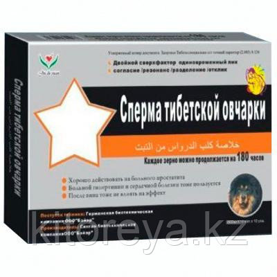 Сперма тибетской овчарки