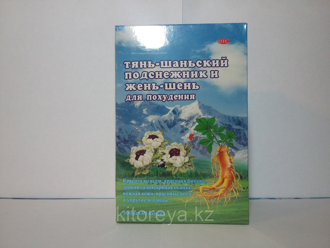 Тянь-шаньский подснежник и женьшень для похудения