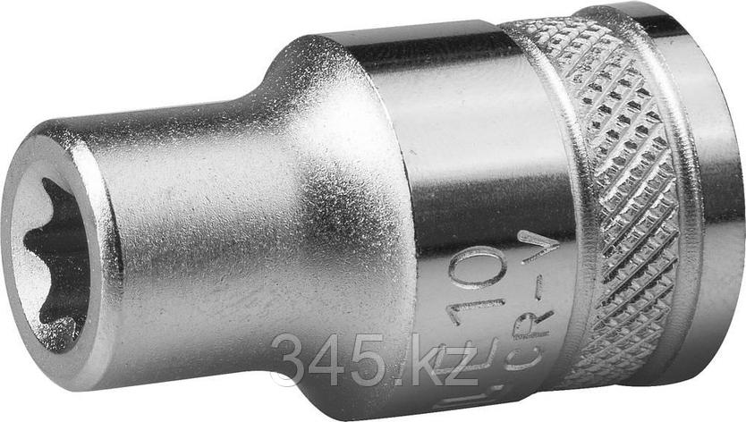 Торцовая головка KRAFTOOL "INDUSTRIE QUALITAT", Cr-V, внешний TORX, хромосатинированная, 1/2", Е 11 , фото 2