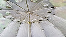 Пляжный зонт маленький, фото 2