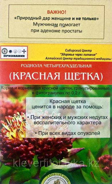 Фитогранулы Красная щетка