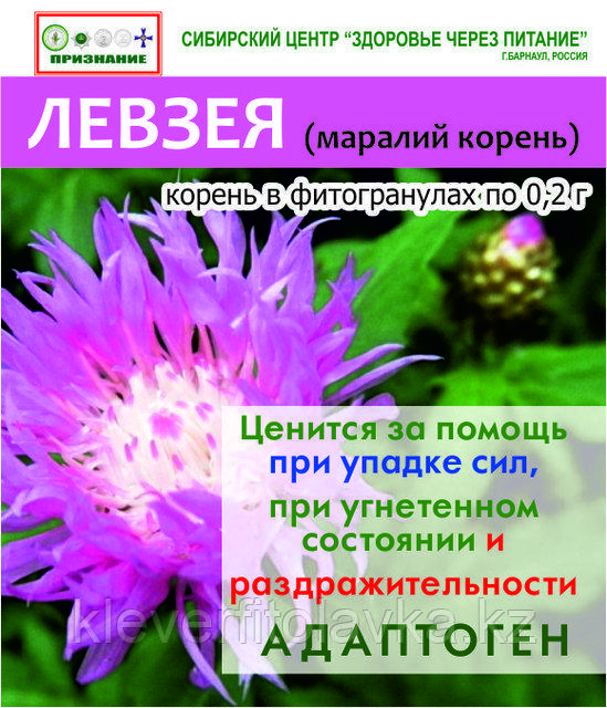 Фитогранулы Левзея (Маралий корень)