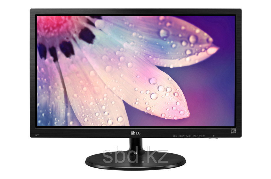 Монитор 18.5" LG 19M38A-B - фото 1 - id-p50772997