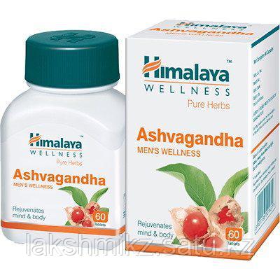 Ашвагандха (Ashwagandha, Himalaya)
