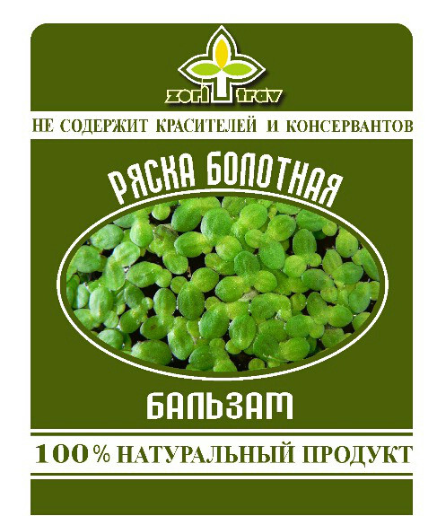 Ряска болотная, 100мл