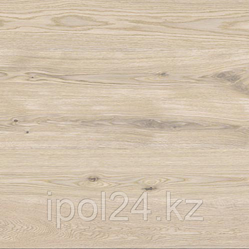 Ламинат Classen(Германия) Progressive (8мм / 33класс) Madeira Oak