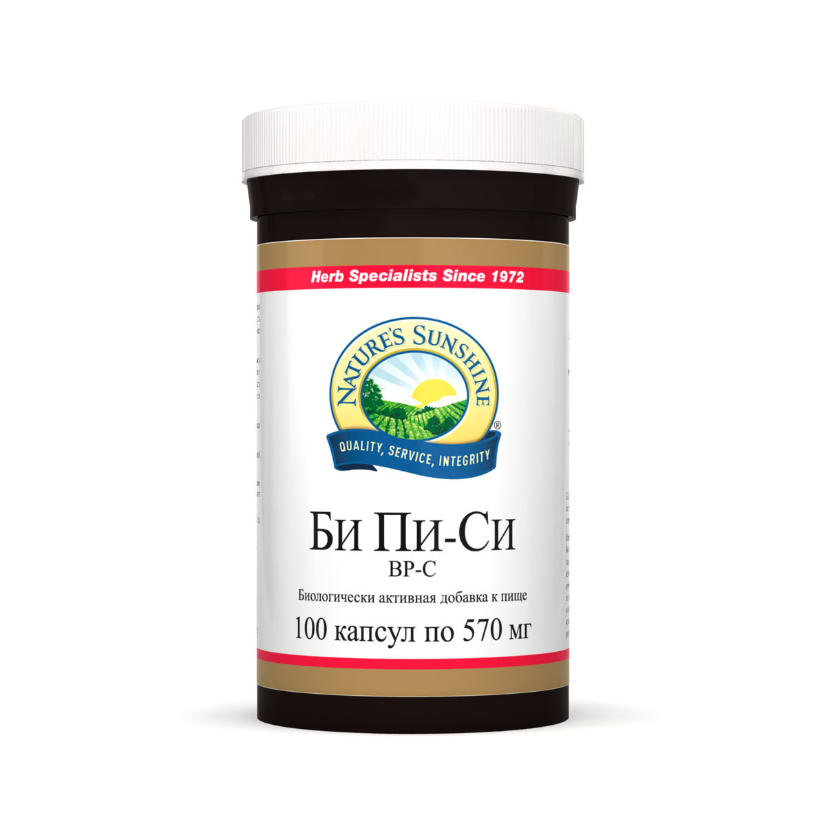 Бад Би Пи-Си НСП
