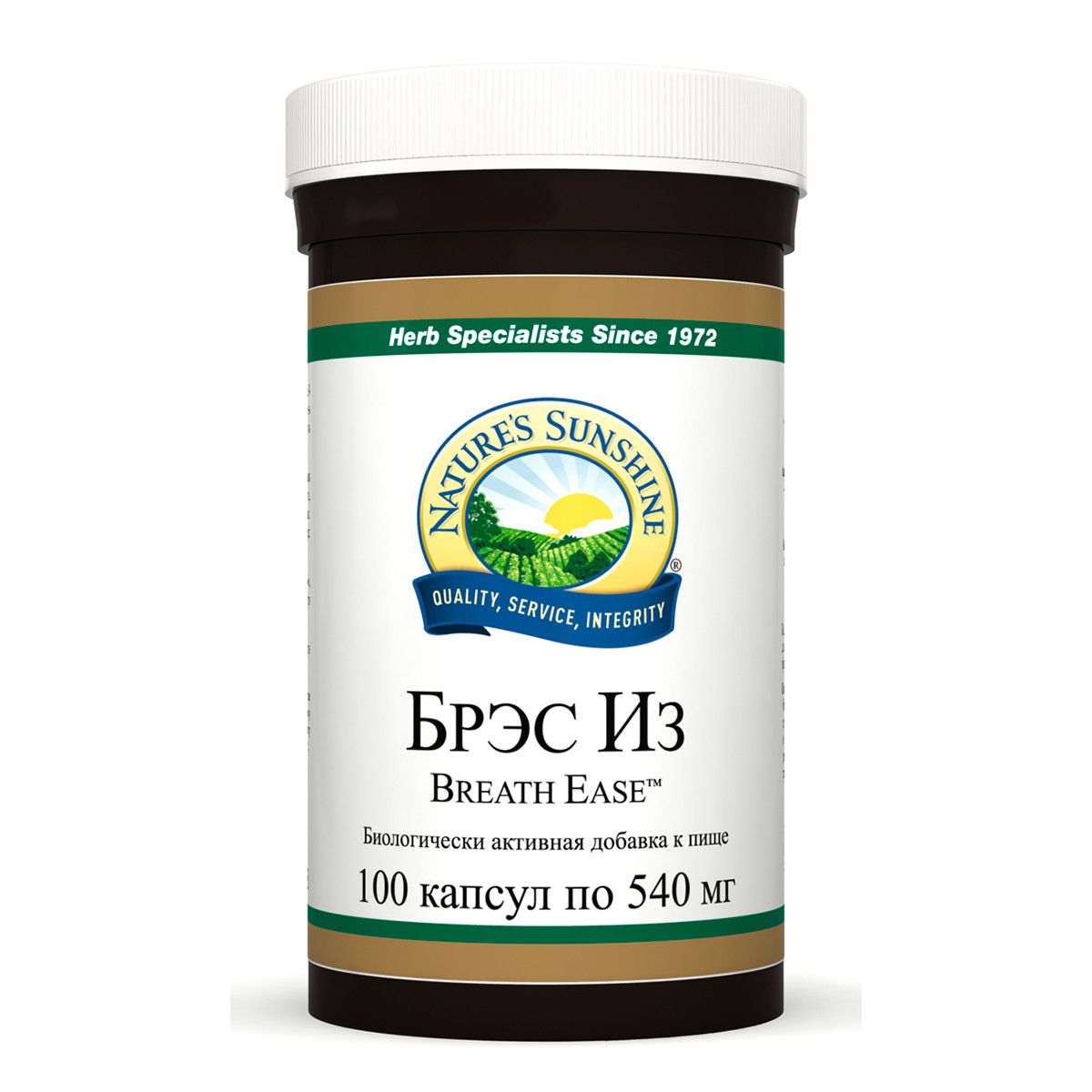 Бад Брэс Из НСП