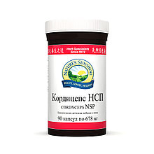 Бад Кордицепс НСП