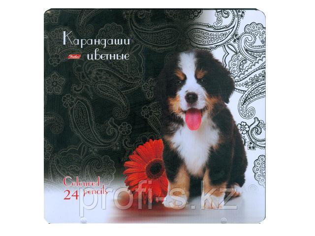 Карандаши цветные "Щенок" 24 цвета
