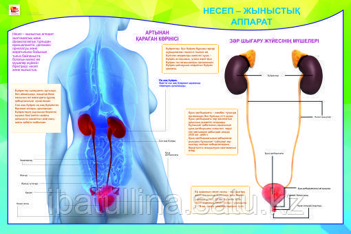 Жасмин порно видео