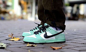 Nike SB Dunk Low IW, фото 2