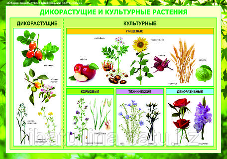 Аяқ-қолды байлап төсекте жыныстық қатынас Түнгі жыныстық қатынасқа арналған Мәскеу қонақ үйі