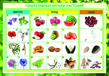 Жасырын порно сайттарды қалай табуға болады Әпкелердің бөксесі