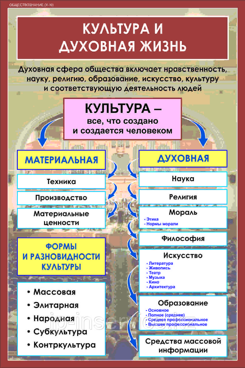 Плакаты Обществознание 10-11 класс - фото 8 - id-p51032919