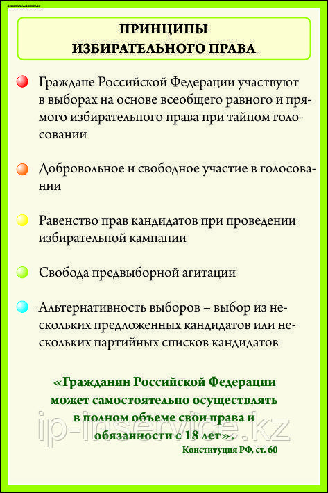 Плакаты Избирательное право в России - фото 6 - id-p51035432