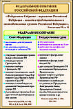 Плакаты Конституционное право в российском государстве, фото 3