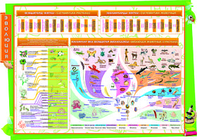 Кабинет биологии