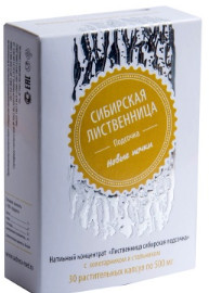 Лиственница сибирская подсочка с золотарником и стальником. Новые почки (в капсулах)