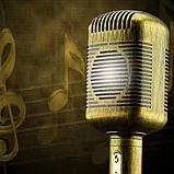 Микрофон караоке Dasen, фото 3